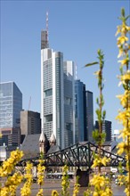 Skyline with a bridge and a yellow flowering forsythia in the foreground