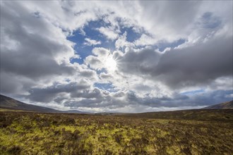 Moor landscape with cloudy sky