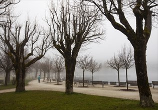 Misty lake promenade with walkers