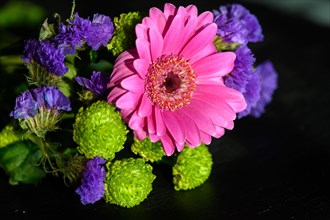 A bouquet of colourful gerber daisy
