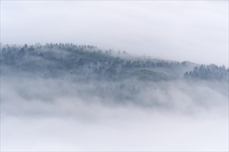 View from Katzenbuckel mountain with morning mist