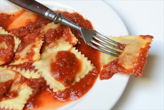 Ravioli with tomato sauce on plate with fork