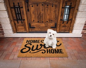 Maltese puppy sitting home sweet home welcome mat at front door of house