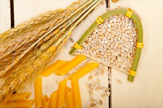 Short Italian pasta penne with durum wheat grains