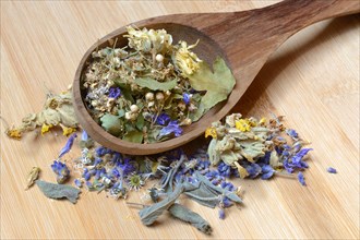 Tea mixture in wooden ladle and medicinal plants