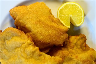 Ready-to-eat Wienerschnitzel with half a lemon on a white plate