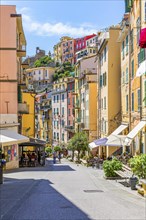 The shopping street of the town of Riomaggiore with its nested and pastel-coloured houses