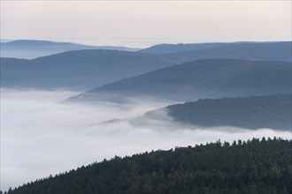 View from Katzenbuckel mountain with morning mist