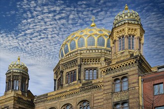 Domes of the new synagogue