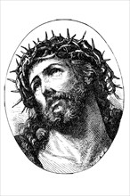 Christ's head with crown of thorns
