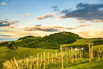South styria vineyards landscape