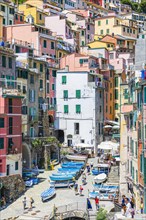 The village of Riomaggiore with its nested pastel-coloured houses built into the hillside