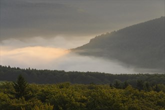 View from Katzenbuckel mountain with morning mist