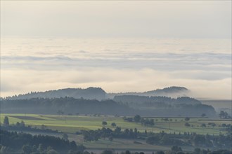 View from Katzenbuckel mountain with morning mist