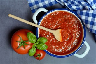 Tomatoes and peel with tomato sauce