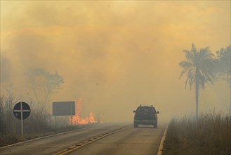 Bushfire on the main road 251 through the national park