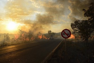 No overtaking sign at a bushfire on the main road 251 at sunset