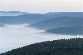 View from Katzenbuckel mountain with morning mist