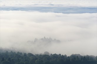 View from Katzenbuckel mountain with morning mist