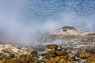 Hot spring flowing into the sea
