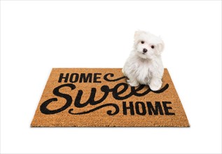 Maltese puppy sitting on home sweet home welcome mat isolated on white