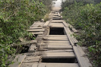 Broken wooden bridge on the Transpantaneira