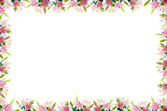 Lily flowers composition frame over white copyspace