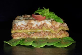 Classic lasagne with spinach leaves