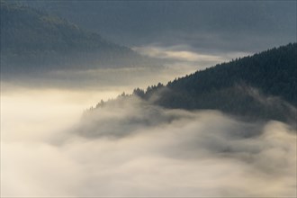 View from Katzenbuckel mountain with morning mist