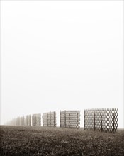 Snow protection fence on a mown meadow in the fog
