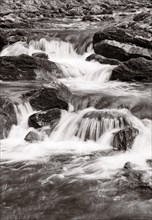 Mountain stream flows over moss-covered stones