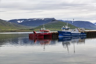 Boats in the harbour of Pingeyri at Dyrafjoerour