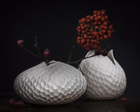 Still life with dry berries in ceramic vases