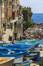 Fishing boats at the harbour of Riomaggiore