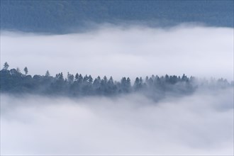 View from Katzenbuckel mountain with morning mist