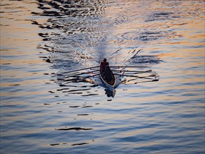 Rowing boat on the Main at sunset