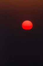 Red ball of the setting sun