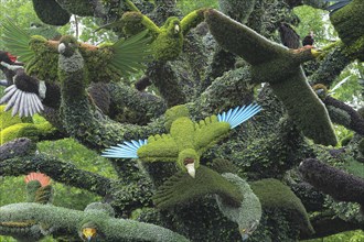 Plant sculpture of birds