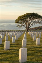 Veterans memorial cemetary at Fort Rosecrans National Cemetery