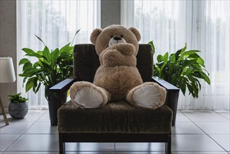 Teddy bear sitting on an armchair in the living room