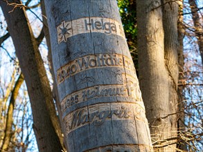 Names of deceased on a burial tree in Seelwald