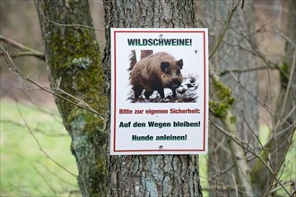 Warning sign against wild boars