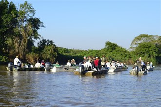 Tourists in motorboats watching wildlife