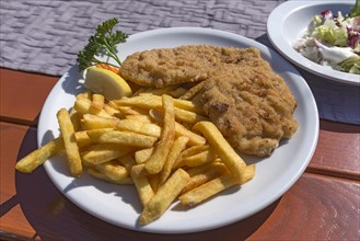 Wiener schnitzel served with french fries in a garden restaurant