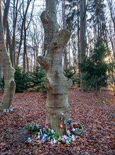 Names of deceased and flowers on a burial tree in Seelwald