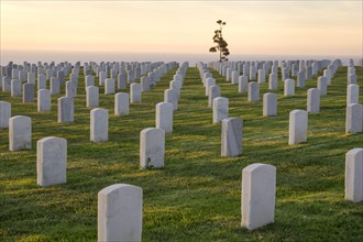 Fort Rosecrans National Cemetery at sunset in San Diego