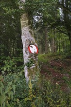 Traffic sign no throughway grown into tree trunk