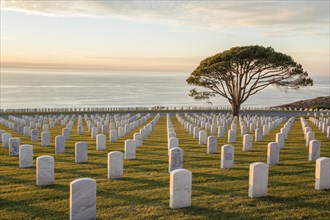 The Veteran cemetery at Fort Rosecrans National Cemetery