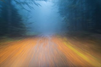 Car driving on autumnal wet road through the forest at dawn