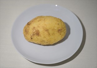 Fried rice ball Arancina